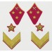 Петлицы командный состава, ХИМИЧЕСКИЕ ВОЙСКА, Генерал-лейтенант, обр. 1940 г.